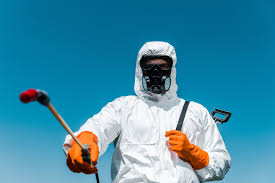 Emergency Pest Control Services in Mission Canyon, CA